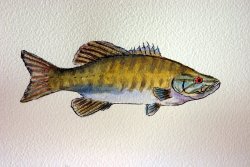 Small Mouth Bass