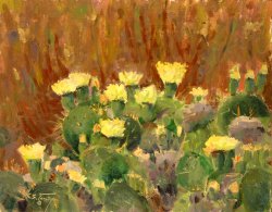 Cactus Patch