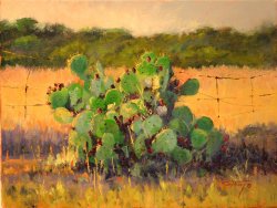 Prickly Situation