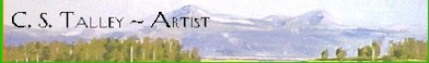 cstalley.com