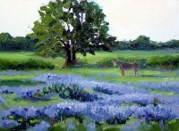 Donkey Heaven