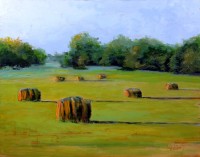 My Neighbor's Field