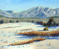 New Mexico