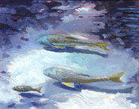 The Fish Of Wolf Creek